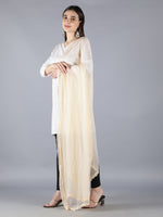 Load image into Gallery viewer, Seva Chikan Chiffon Dupatta With Mukaish Work