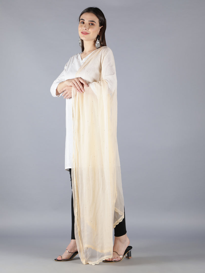 Seva Chikan Chiffon Dupatta With Mukaish Work