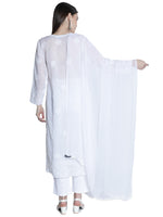 Load image into Gallery viewer, Seva Chikan Chiffon Dupatta With Mukaish Work