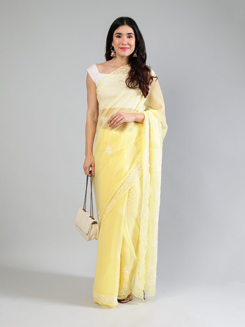 Seva Chikan Hand Embroidered Georgette Lucknowi Chikankari Saree