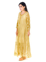 Load image into Gallery viewer, Seva Chikan Hand Embroidered Yellow Georgette Lucknowi Chikankari Anarkali-SCL1375