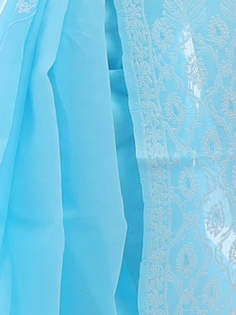 Seva Chikan Hand Embroidered Blue Cotton Lucknowi Saree-SCL2320