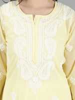 Load image into Gallery viewer, Seva Chikan Hand Embroidered  Georgette Lucknowi Chikankari kurta with Slip