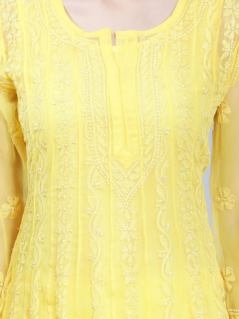Seva Chikan Hand Embroidered Georgette Lucknowi Chikankari Anarkali