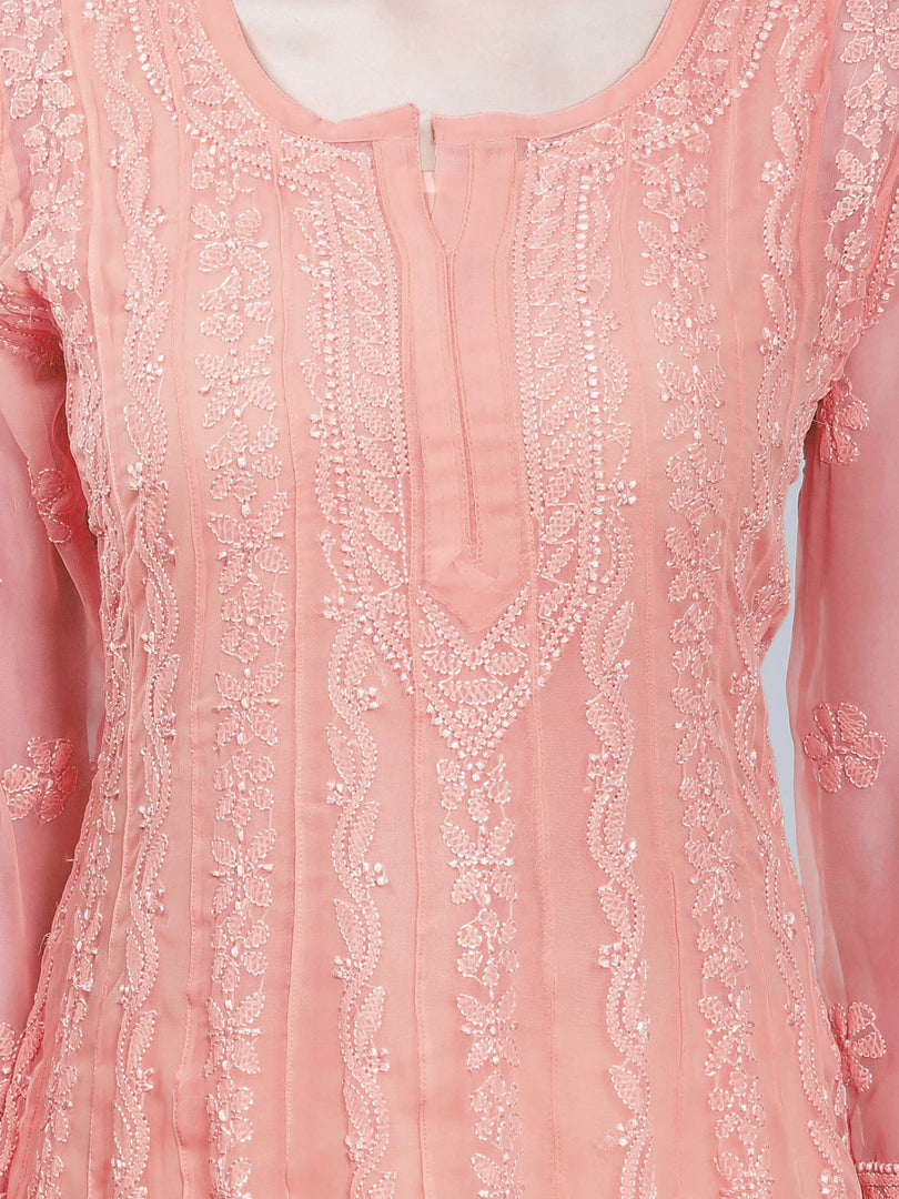 Seva Chikan Hand Embroidered Georgette Lucknowi Chikankari Anarkali