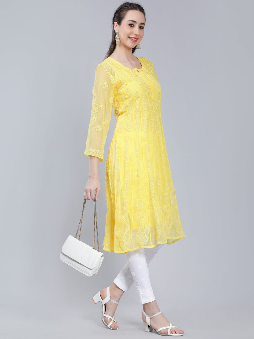 Seva Chikan Hand Embroidered Georgette Lucknowi Chikankari Anarkali