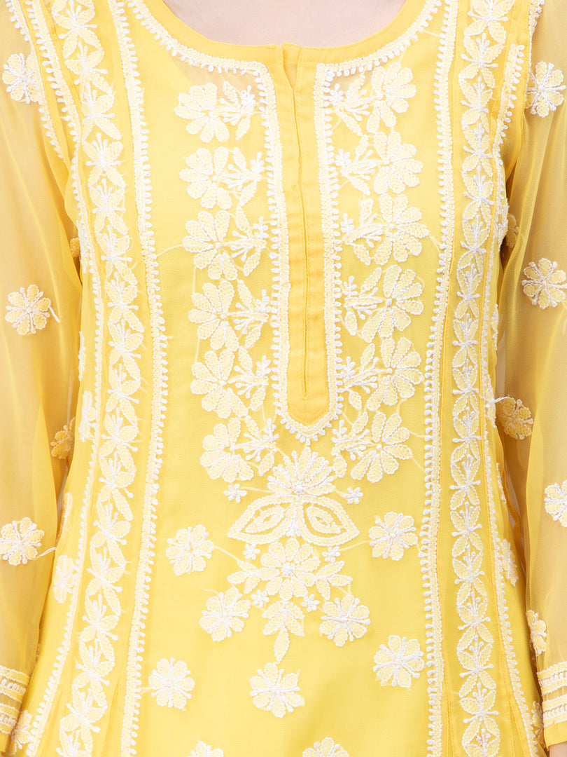 Seva Chikan Hand Embroidered Georgette Lucknowi Chikankari Anarkali Kurta