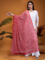 Load image into Gallery viewer, Seva Chikan Hand Embroidered Lucknowi Chikankari Red Georgette Tepchi Work Dupatta-SCL12014