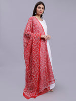 Load image into Gallery viewer, Seva Chikan Hand Embroidered Lucknowi Chikankari Red Georgette Tepchi Work Dupatta-SCL12014