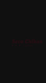 Load and play video in Gallery viewer, Seva Chikan Hand Embroidered Georgette Lucknowi Chikan Top