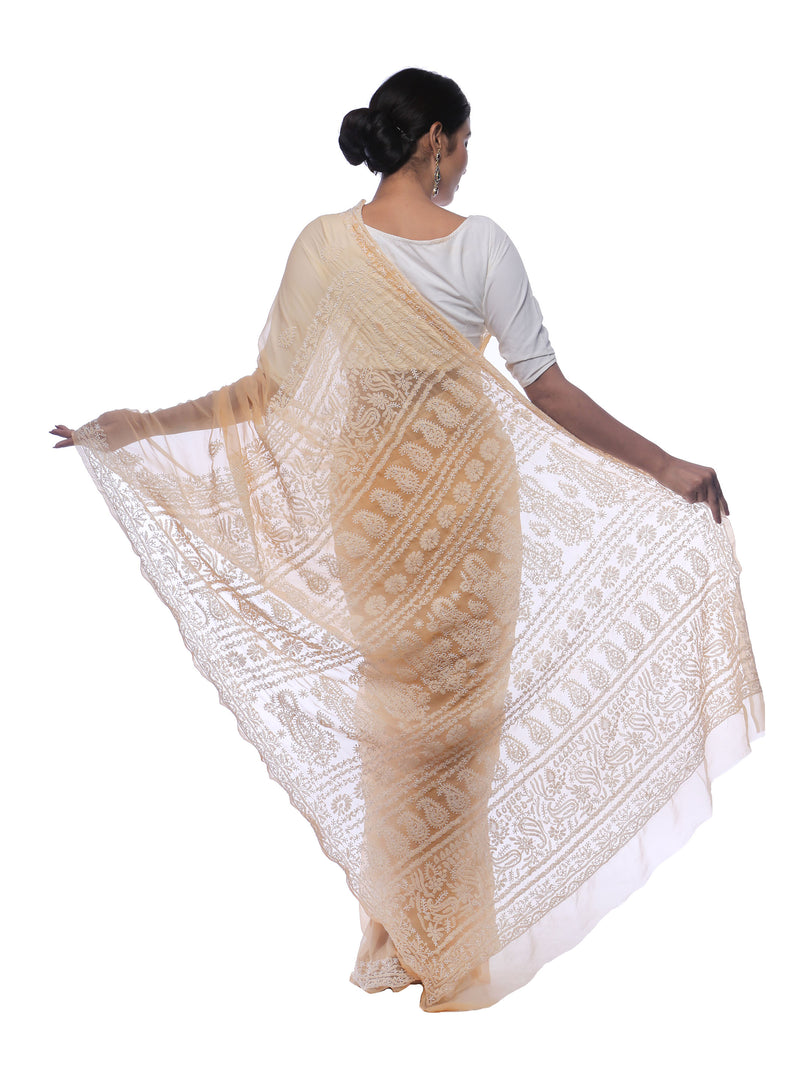 Seva Chikan Hand Embroidered Beige Georgette Lucknowi Saree-SCL0439