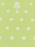 Load image into Gallery viewer, Seva Chikan Hand Embroidered Light Green Cotton Lucknowi Chikankari Unstitched Suit Piece-SEV15032