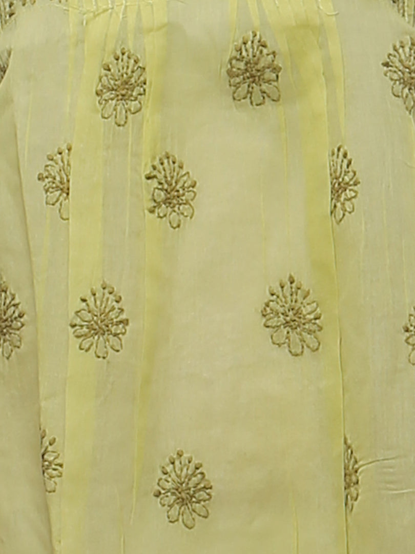 Seva Chikan Hand Embroidered Pista Green Cotton Lucknowi Chikan Long Top-SCL0198