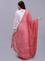 Load image into Gallery viewer, Seva Chikan Hand Embroidered Lucknowi Chikankari Red Georgette Tepchi Work Dupatta-SCL12014